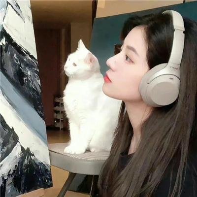 猛虎屠龙