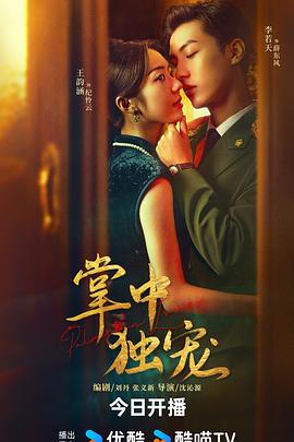 13朵玫瑰 封面图